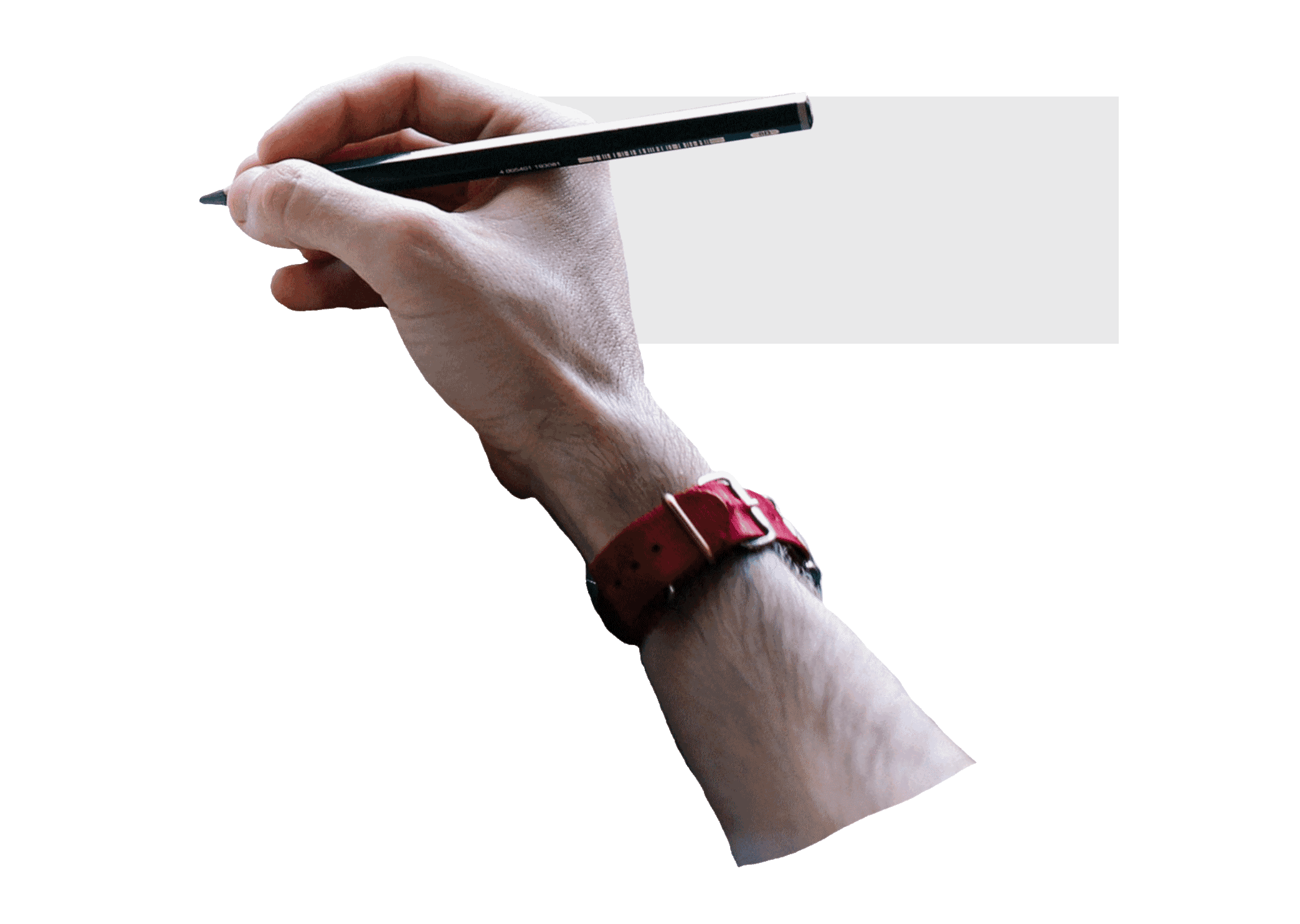 Hand holding a pencil